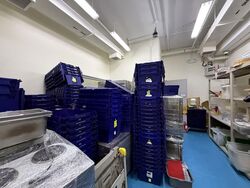 Mactaggart Foodlink (D13), Factory #592345481
